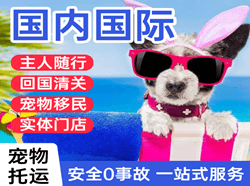 稻城亚丁机场货运国际宠物托运 【国